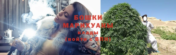 стаф Анжеро-Судженск
