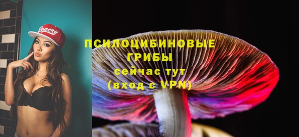 стаф Анжеро-Судженск